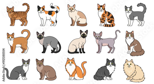 Collection of Diverse Cat Breeds and Colors in a Flat Vector Style