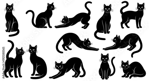 Collection of Black Cat Silhouettes in Various Poses and Actions on White Background