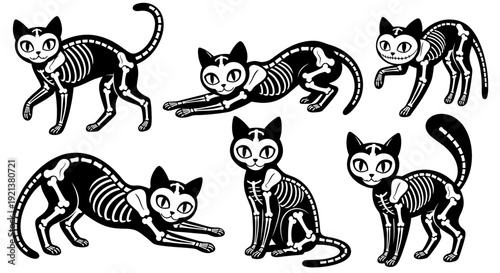 Set of Cute Skeleton Cat Illustrations, Perfect for Halloween and Spooky Themes