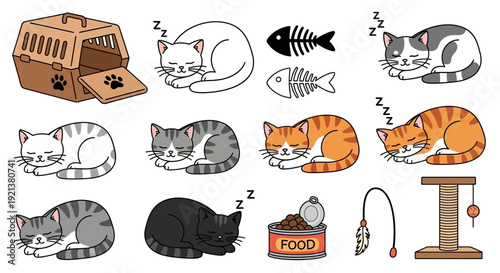 Collection of Cute Sleeping Cats and Pet Accessories Vector Illustrations
