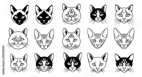 Collection of Diverse Cat Breeds Heads Vector Icons on White Background