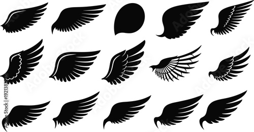 Black silhouette wings of different shapes and sizes on a white background Keywords: wings, silhouette, black, white background