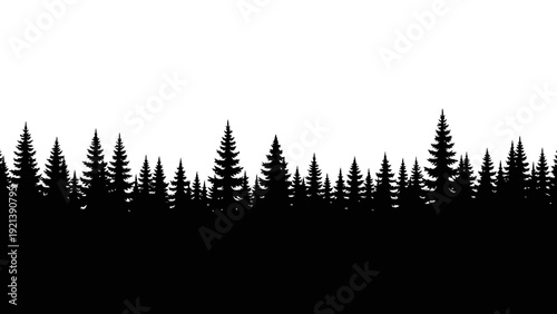 Silhouette of Pine Tree Forest Trees.