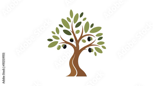 Olive Tree With Green Leaves.