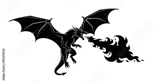 Black dragon breathing fire.