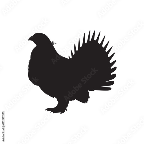 Greater sage grouse silhouette vector flat illustration design.on white background.