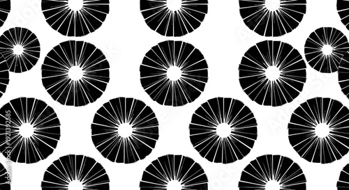 Black and white bicycle wheel spokes.