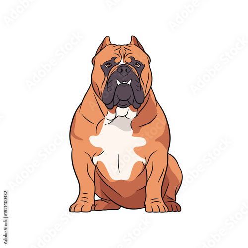 Powerful and muscular american bully dog with brown and white fur sitting proudly in a front view portrait illustration.