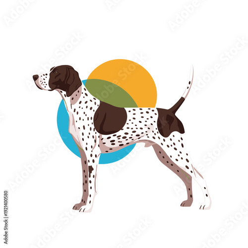 Standing german shorthaired pointer dog with a spotted coat shown in profile against a modern geometric background.