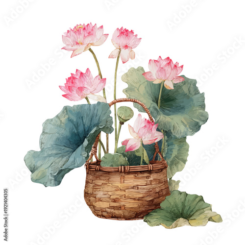 Lotus Basket, watercolor illustration vector, isolated on a white background.