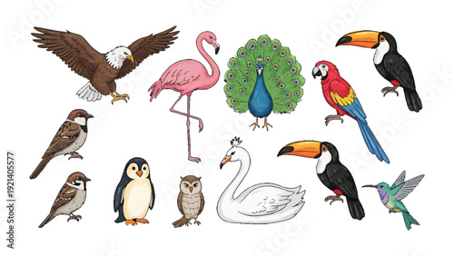 Colorful Avian Ensemble: An assortment of vibrantly colored birds of various species gathers, each with its unique charm and character, showcasing the beauty and diversity of the avian world.