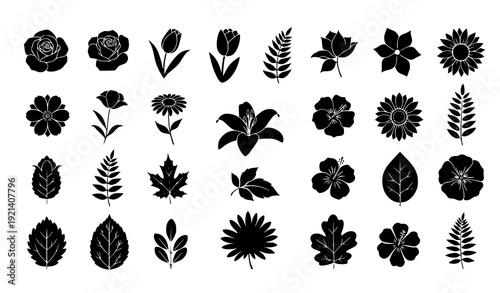 Flower and Leaf Silhouette Set Vector Collection Flat Minimal Black Isolated on White