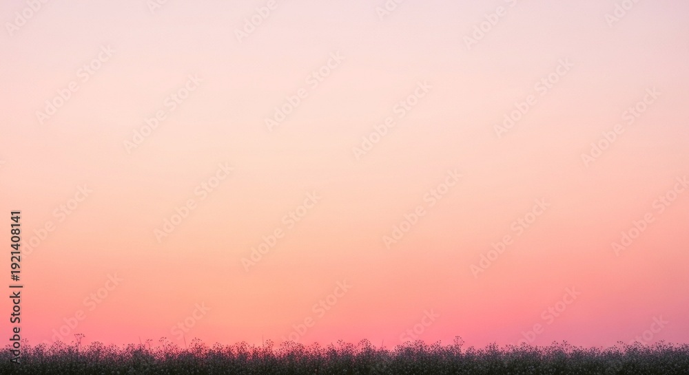 Fototapeta premium Soft pink sunset over grassy field mothers day background download 2026 2027