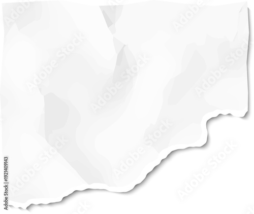 Crumpled white paper blank sheet torn edge