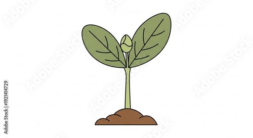 Young green plant sprout with leaves growing in brown soil symbolizing growth and new life in a simple illustration