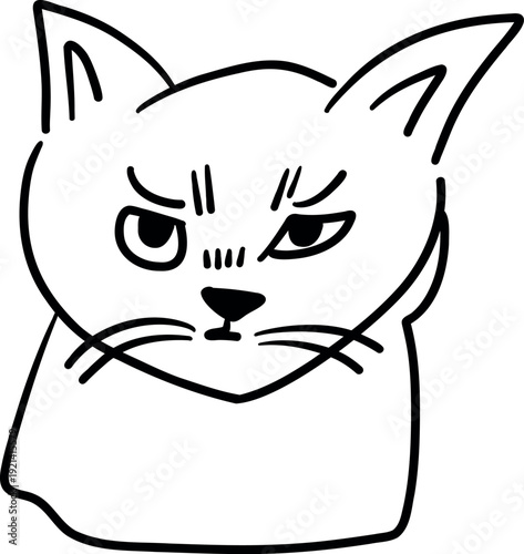 Grumpy hand drawn cat face, angry feline character portrait doodle isolated on white background