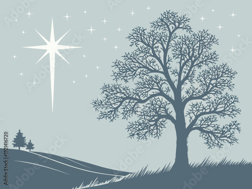 Winter night landscape with a bright star and bare trees.