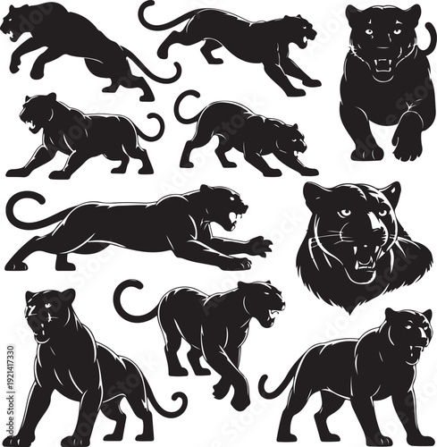 Set of panthers. Collection of silhouettes of portraits of predatory wild cats. Set of wildlife and fauna inhabitants. Vector illustration on a white background. tattoo.