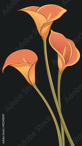 Three elegant orange calla lilies with deep red centers on a stark black background.
