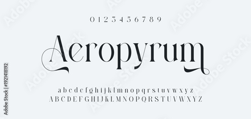 Elegance Luxury wedding alphabet font. Typography elegant classic lettering serif fonts decorative vintage retro for logo. vector illustration