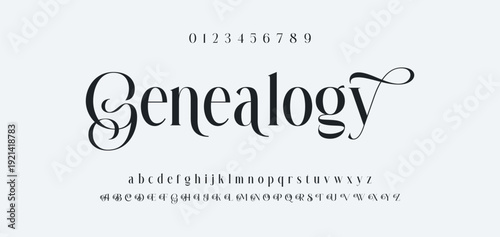 Elegance Luxury wedding alphabet font. Typography elegant classic lettering serif fonts decorative vintage retro for logo. vector illustration