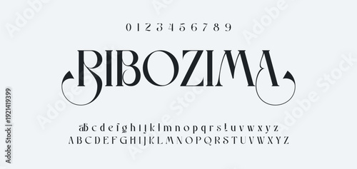 Elegance Luxury wedding alphabet font. Typography elegant classic lettering serif fonts decorative vintage retro for logo. vector illustration