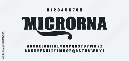 Elegance Luxury wedding alphabet font. Typography elegant classic lettering serif fonts decorative vintage retro for logo. vector illustration