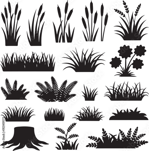 Set of shoots of reeds, reeds and coastal grass. Ferns and rotten stumps. Swamp landscape. View of the river bank. Silhouette picture. Isolated on white background. Vector