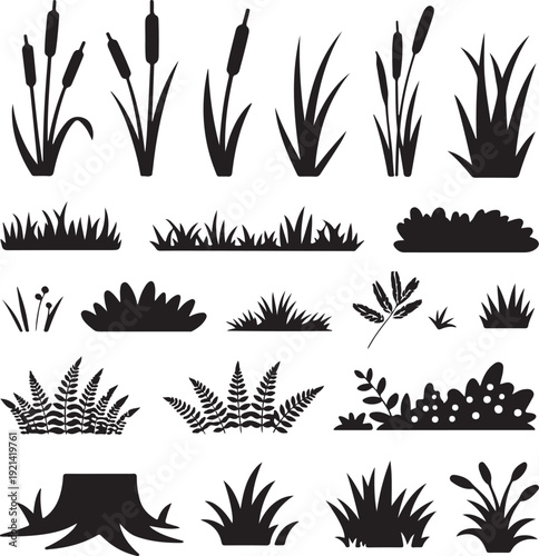 Set of shoots of reeds, reeds and coastal grass. Ferns and rotten stumps. Swamp landscape. View of the river bank. Silhouette picture. Isolated on white background. Vector