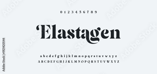 Elegance Luxury wedding alphabet font. Typography elegant classic lettering serif fonts decorative vintage retro for logo. vector illustration