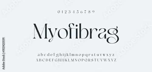 Elegance Luxury wedding alphabet font. Typography elegant classic lettering serif fonts decorative vintage retro for logo. vector illustration