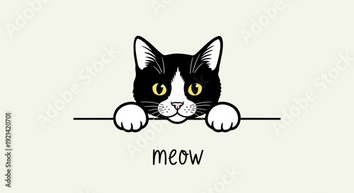 Cute Black and White Cat Peeking Over a with 'Meow' Text