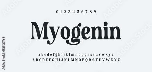 Elegance Luxury wedding alphabet font. Typography elegant classic lettering serif fonts decorative vintage retro for logo. vector illustration