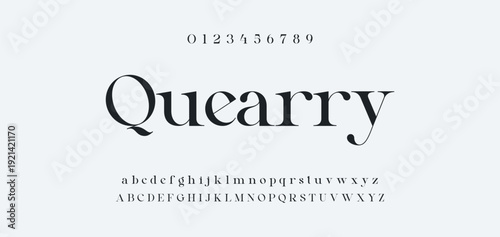 Elegance Luxury wedding alphabet font. Typography elegant classic lettering serif fonts decorative vintage retro for logo. vector illustration