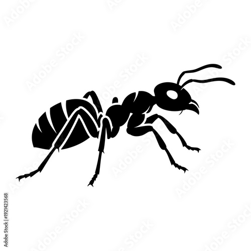 A black and white image of an ant