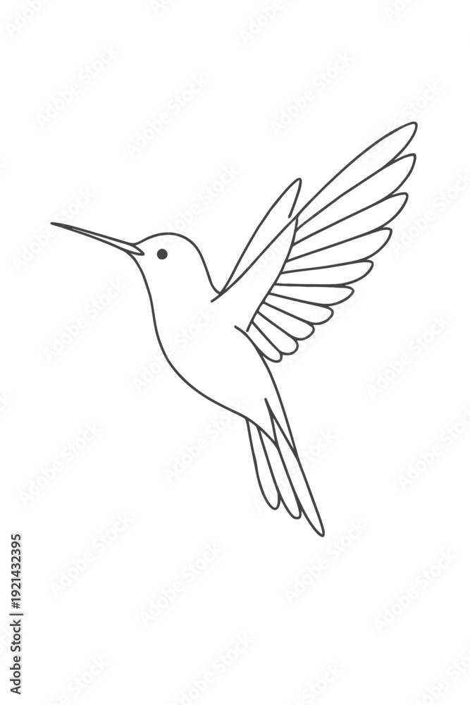 Fototapeta premium Vector illustration of a hummingbird and white dove flying gracefully in the sky