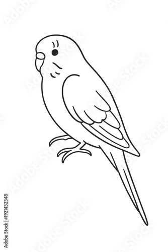 Cute vector illustration of a bird perched on a tree branch in spring style drawing