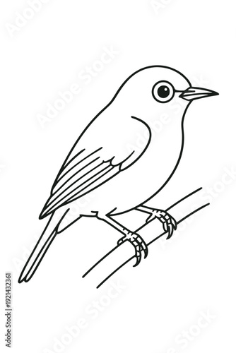 Vector illustration of a bird perched on a tree branch in a simple sketch style