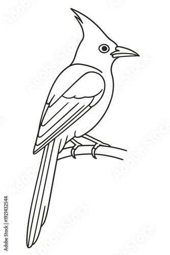 Vector illustration of a black bird perched on a branch in a simple nature style