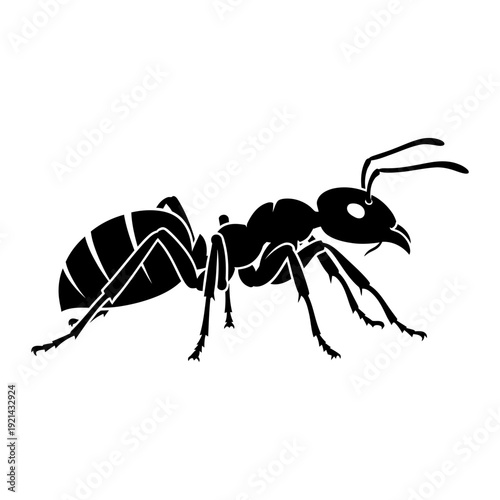 A black and white drawing of an ant