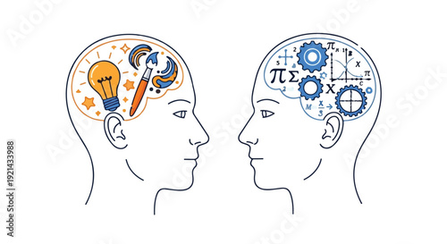 Two human head profiles illustrating creative and logical brain functions. Vector line art. isolated PNG with Transparent Background