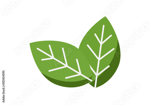 Dos hojas verdes de estilo minimalista 