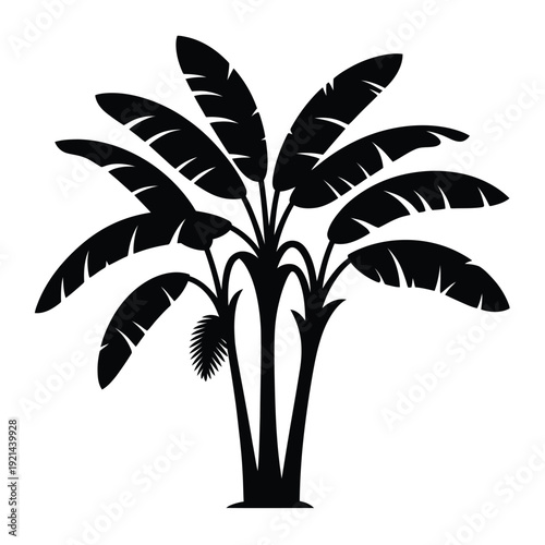 A monochrome illustration depicting a vibrant and leafy banana plant