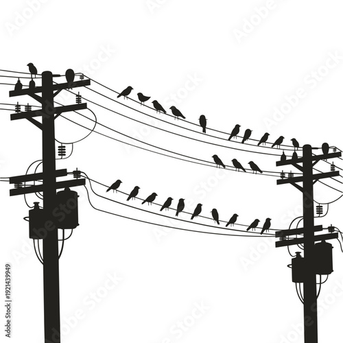 A black silhouette of birds perched on electrical wires and poles