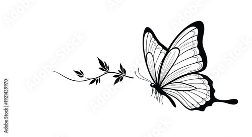 Delicate black and white line art of a beautiful butterfly flying next to a small leafy branch in a clean minimalist style.