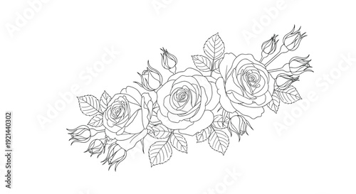 Elegant horizontal floral arrangement featuring three detailed blooming roses with several buds and leaves in a hand drawn sketch style.