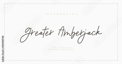 Greater Amberjack, Script Font, aesthetic, Uppercase Lowercase and Number. wedding font, Classic Lettering Minimal Fashion Designs. Typography modern serif fonts regular decorative vintage concept. ve