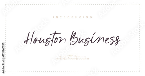 Houston Business, Luxury script alphabet letters font with tails. Typography elegant classic lettering serif fonts and number decorative vintage retro concept for logo branding. vector illustration
