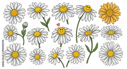 Collection of daisies with smiley faces and varying stem lengths in a graphic illustration