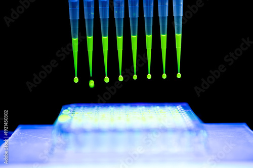 Medical research with multi channel pipette with fluorescent chemical solution. Genetic medicine development research from close-up view.